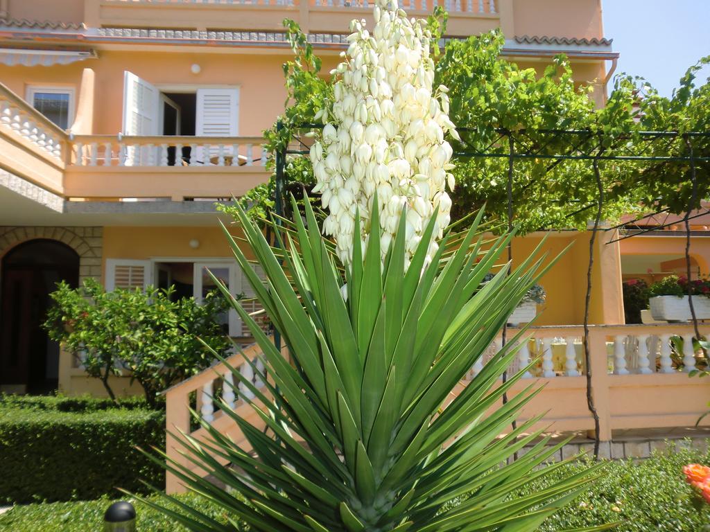 Guest House Sandra Rab Town Extérieur photo